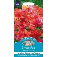 UK/FO-SWEET PEA Summer Sizzler