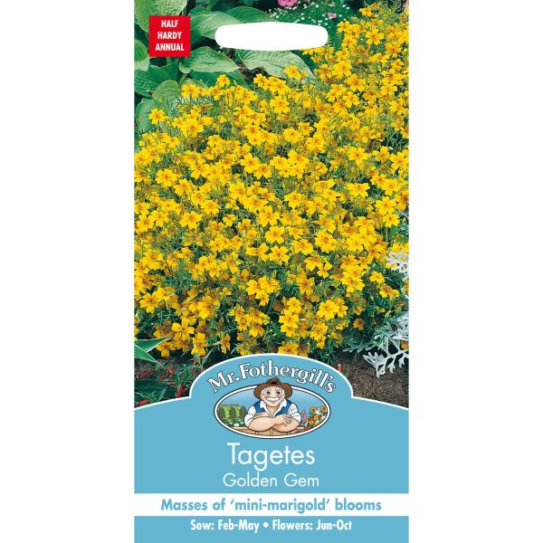UK/FO-TAGETES Golden Gem