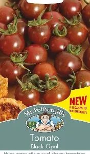 UK/FO-TOMATO Black Opal