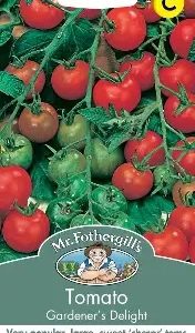 tomato20gardners20delight.jpg UK/FO-TOMATO Gardeners Delight