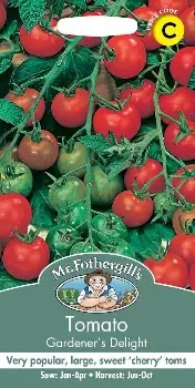 UK/FO-TOMATO Gardeners Delight