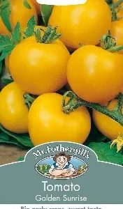 UK/FO-TOMATO Golden Sunrise