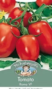 UK/FO-TOMATO Roma VF