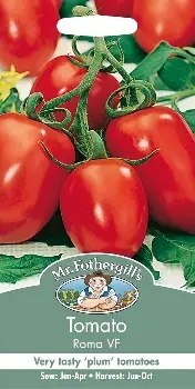 UK/FO-TOMATO Roma VF