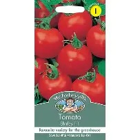 UK/FO-TOMATO Shirley F1
