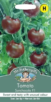 UK/FO-TOMATO Sunchocola F1