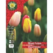 Mixed Single Tulips Prepack 10 bulbs 10/11