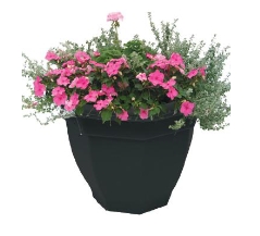 Win Octagonal Ballpot 50cm Ebony