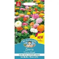 UK/FO-ZINNIA Choice Mix